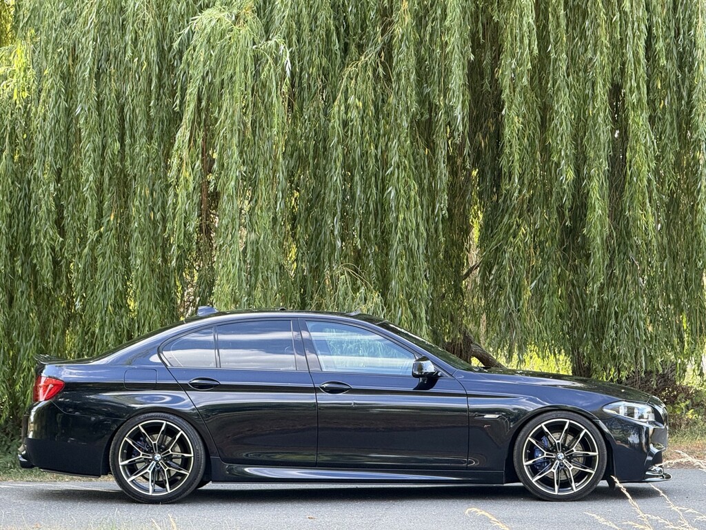 BMW 5 Series 520D Se Silver #13
