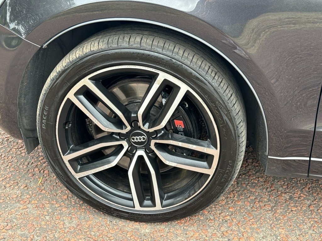 Audi SQ5 2016 Audi Sq5 #41