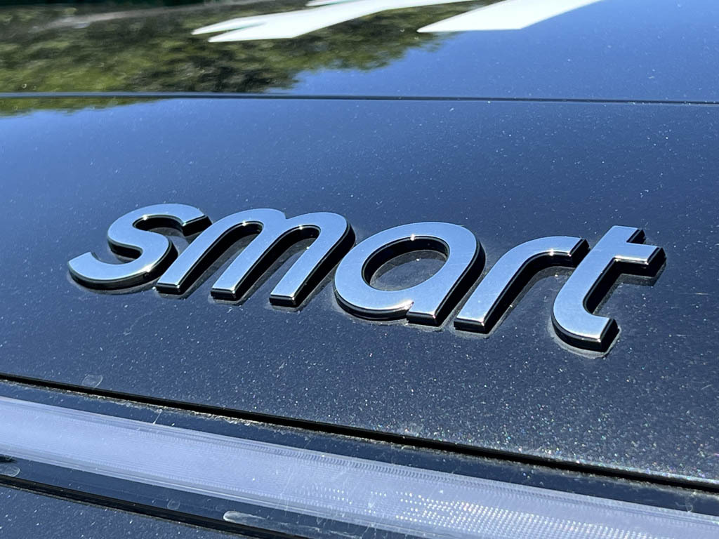 Smart #1 200Kw Pro 66Kwh Silver #17