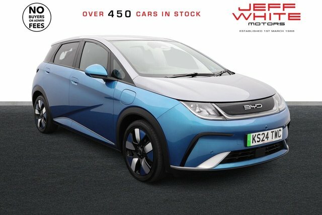 Byd Dolphin Design Pan KS24TWC Blue