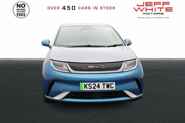 Byd Dolphin Design Pan KS24TWC Blue #4