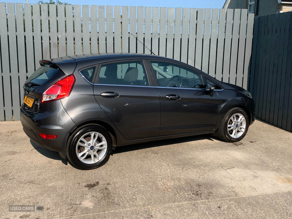 Ford Fiesta 1.0 Ecoboost Zetec Grey #6