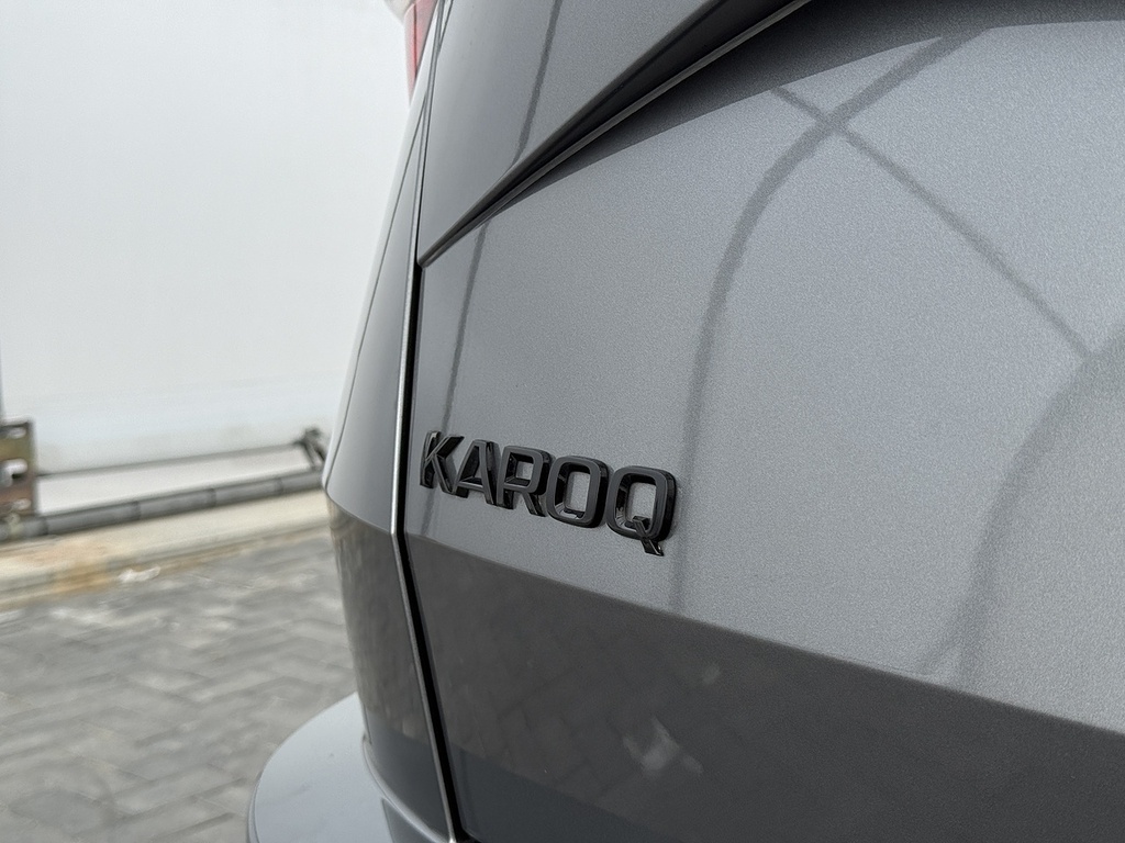 Skoda Karoq Se L Grey #20