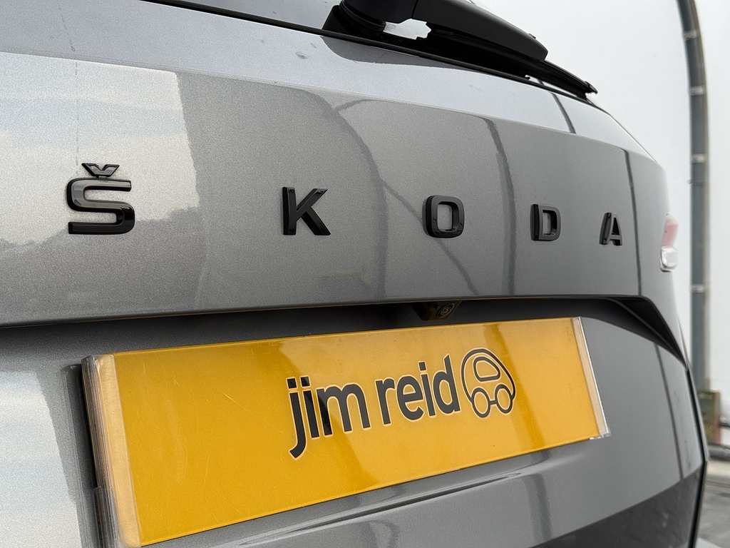 Skoda Karoq Se L Grey #21