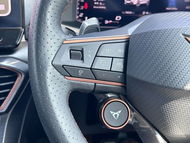 Cupra Formentor 1.5 Tsi 150 V1 Dsg Red #19