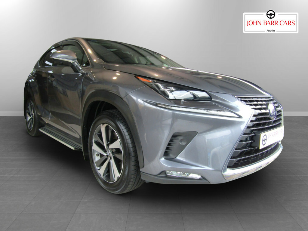 Lexus NX 300H 2.5 Takumi Cvt Pan Roof Grey #6