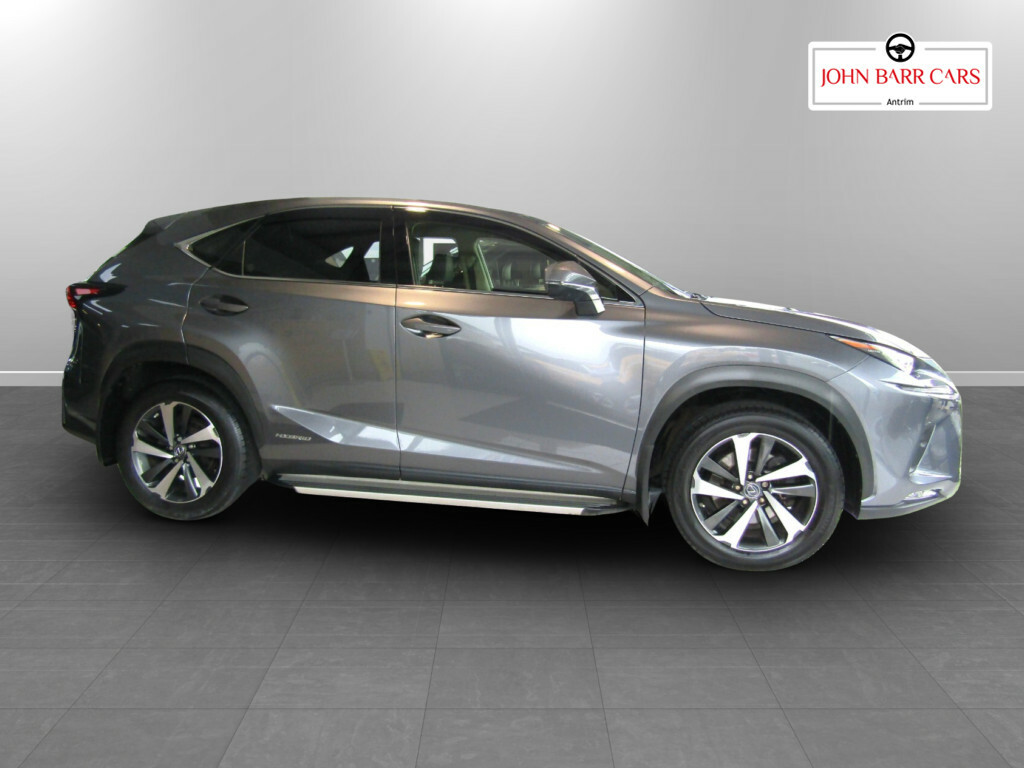 Lexus NX 300H 2.5 Takumi Cvt Pan Roof Grey #5
