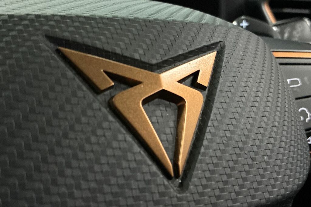 Cupra Formentor Suv Grey #26