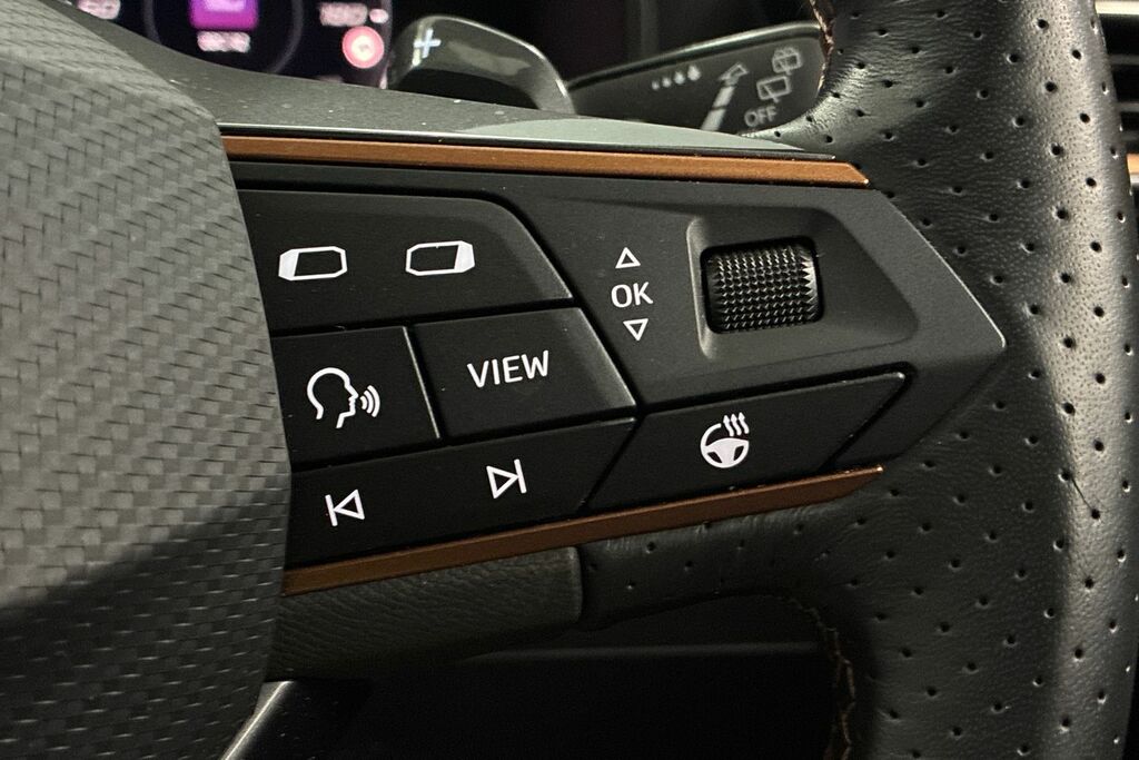 Cupra Formentor Suv Grey #25