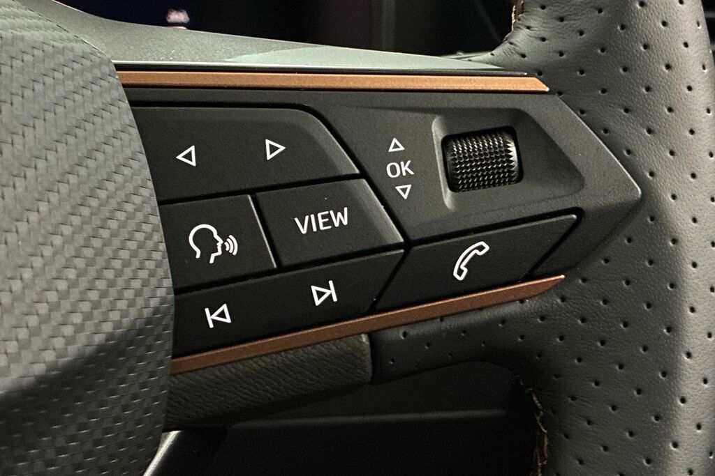 Cupra Formentor V2 Grey #27