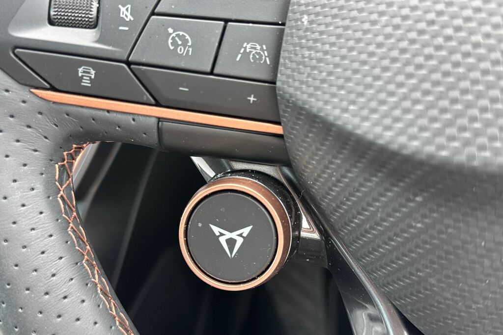 Cupra Formentor 1.4L V1 Grey #21