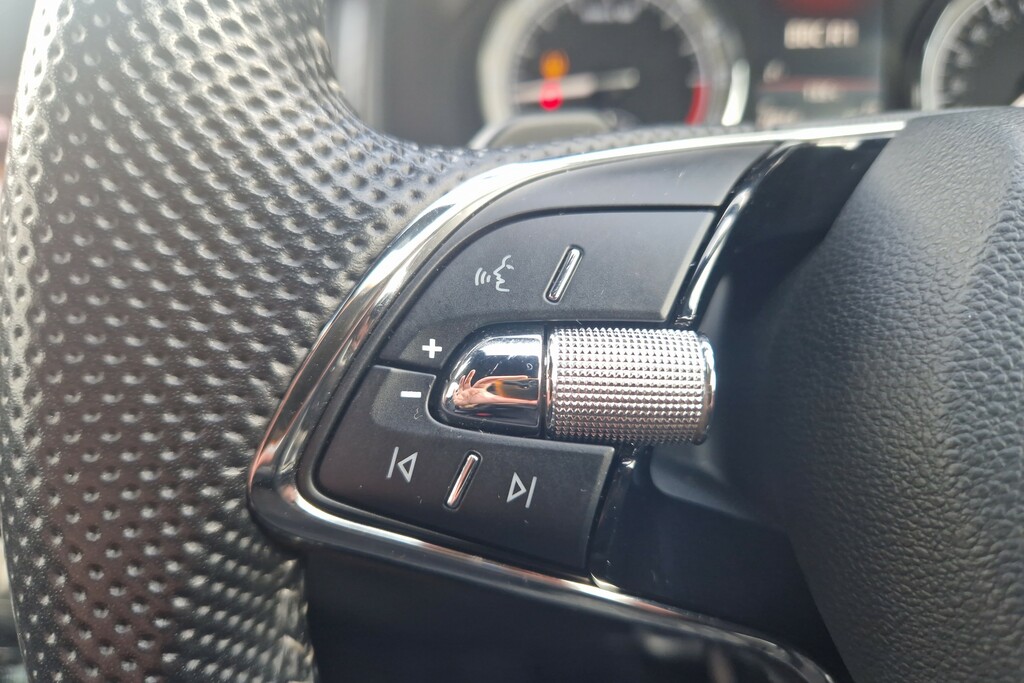 Skoda Kodiaq Automatic Blue #38