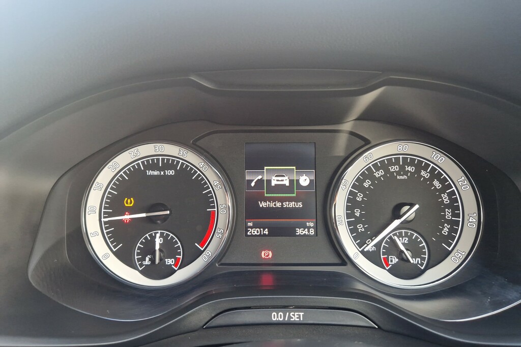 Skoda Kodiaq Automatic Blue #43