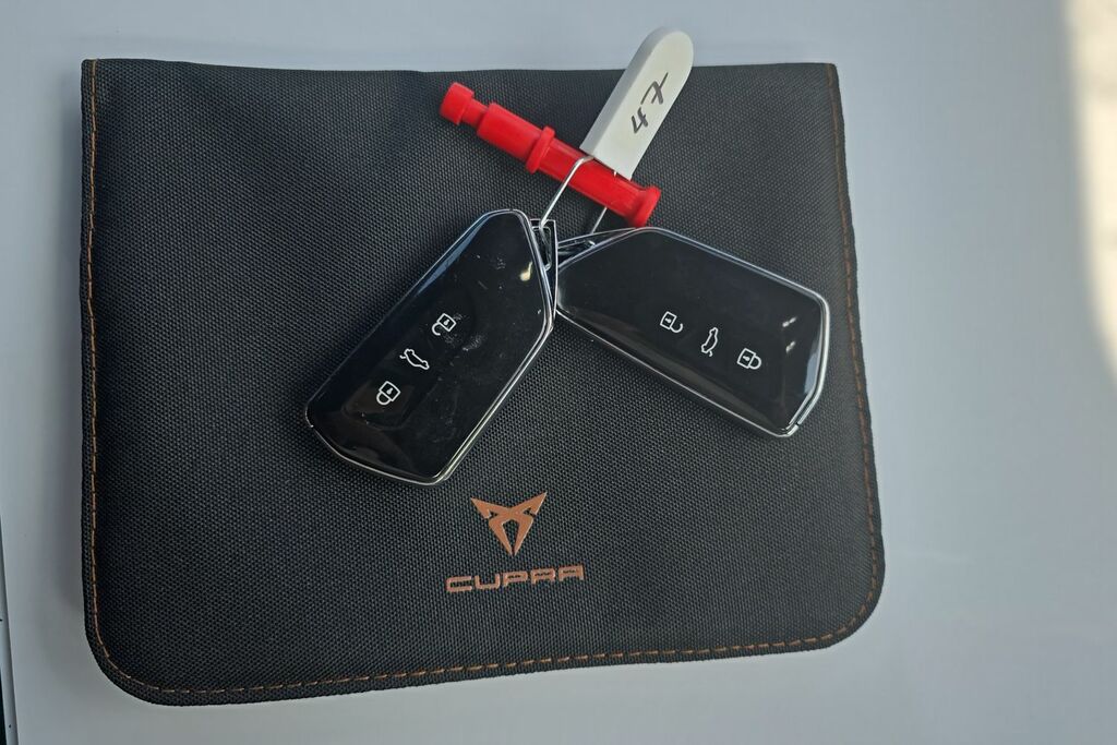 Cupra Tavascan V2 77Kwh 286 Bhp Grey #32