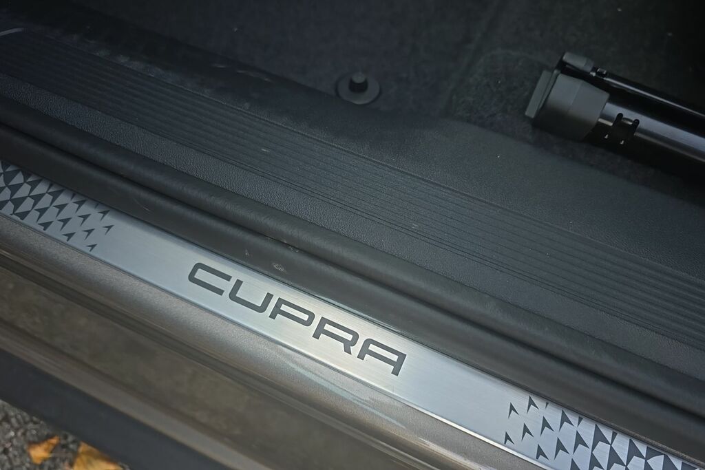 Cupra Tavascan V2 77Kwh 286 Bhp Grey #39