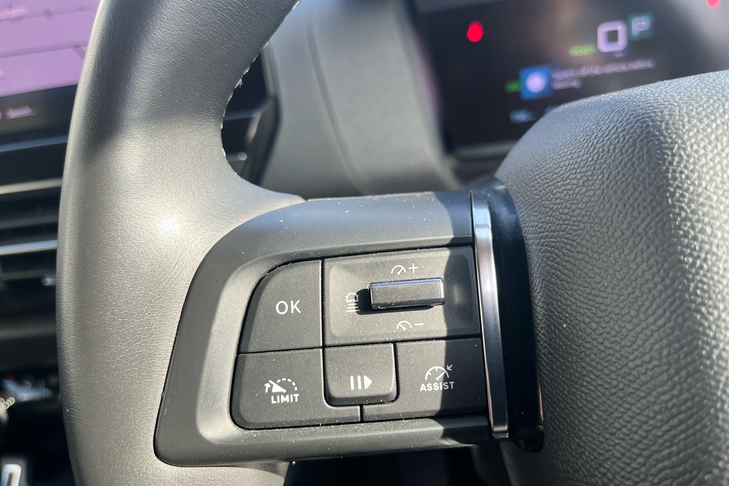 Citroen e-C4 100Kw Shine 50Kwh Grey #19