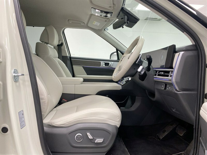 Hyundai Santa Fe 1.6 Tgdi Hybrid Ultimate Black #40