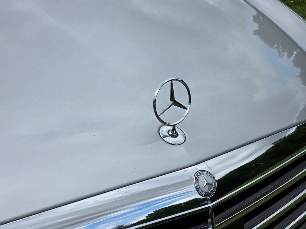 Mercedes-Benz S Class Cdi Silver #25