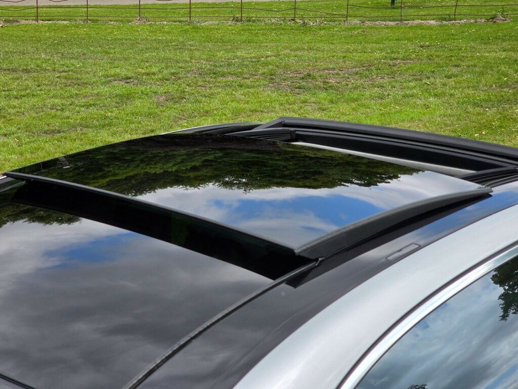 Mercedes-Benz S Class Cdi Silver #30
