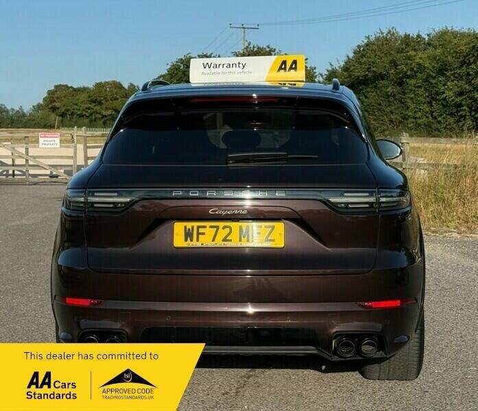 Porsche Cayenne 3.0T V6 Platinum Edition Tiptronics 4Wd Euro 6 S WF72MFZ Brown #5