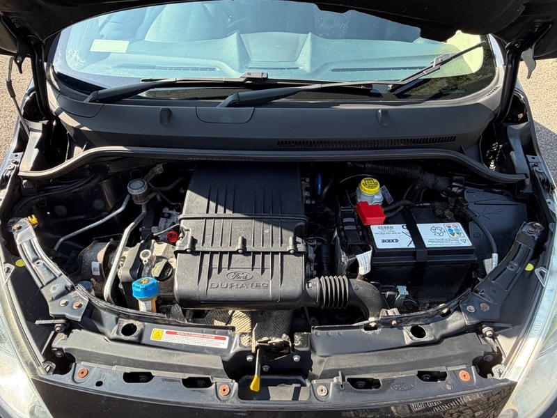 Ford KA 1.2L Titanium Red #19