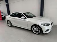 BMW 2 Series 2.0 218D M Sport Euro 6 Ss Blue #42