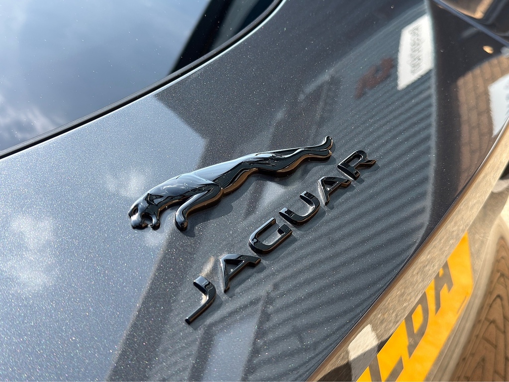 Jaguar F-Type R-dynamic  #22