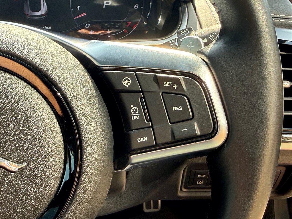 Jaguar F-Type R-dynamic  #31