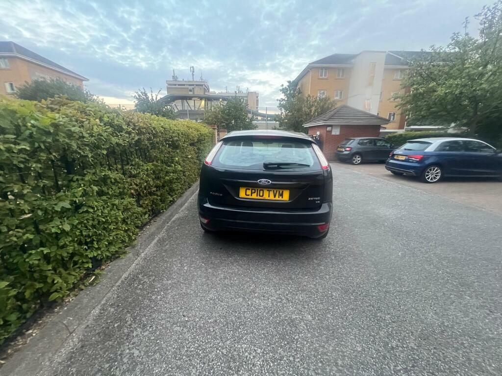 Ford Focus 1.6 Zetec S Ulez 10 Services Cambelt Grey #52