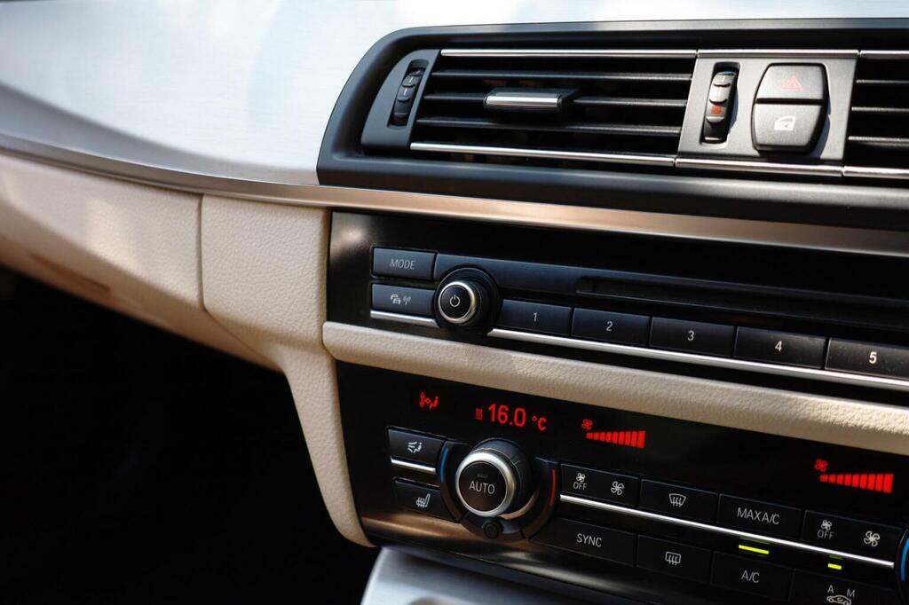 BMW 5 Series 2.0 520D M Sport Euro 6 Ss Black #29