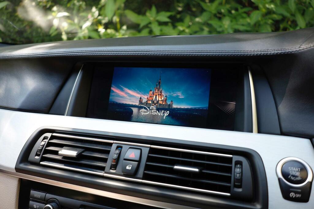 BMW 5 Series 2.0 520D M Sport Euro 6 Ss Black #14