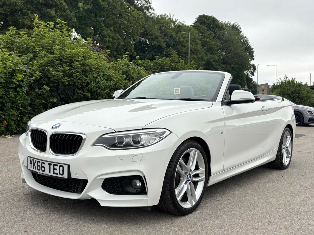 BMW 2 Series Convertible 2.0 220I M Sport Euro 6 Ss 201 White