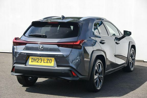 Lexus UX Premium Plus Pack DH23LZO Grey #6