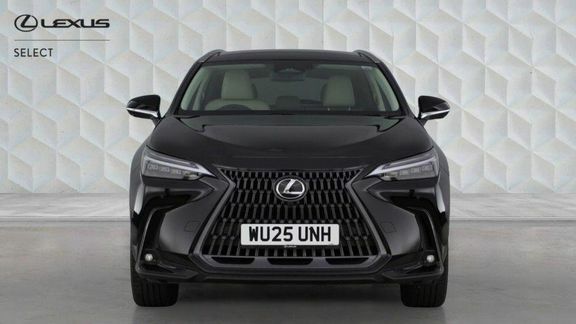 Lexus NX 2.5 450H 18.1Kwh F Sport Suv Plug-in H Brown #8