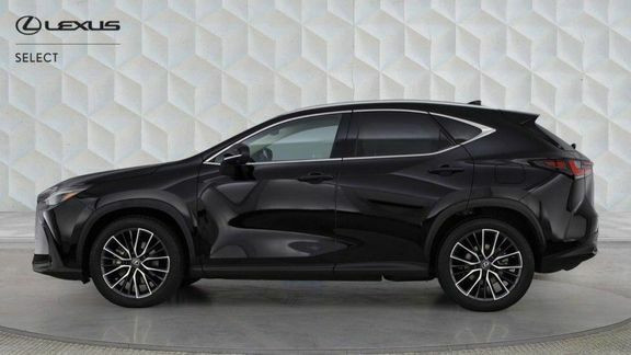 Lexus NX Nx450h Takumi Black #6