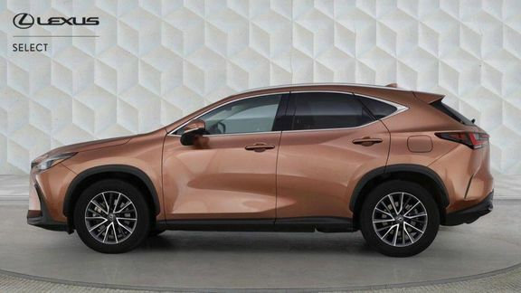 Lexus NX Nx450h Premium LL Pro Pan  #5
