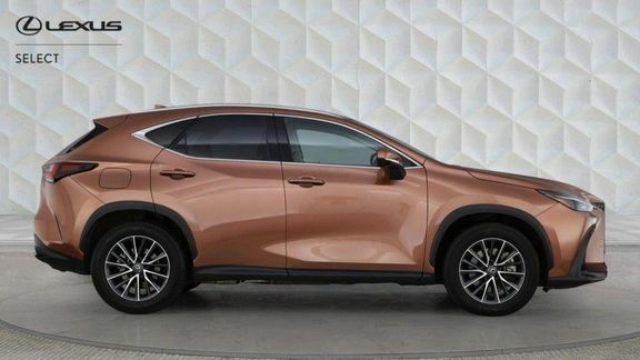 Lexus NX Nx450h Premium LL Pro Pan  #2