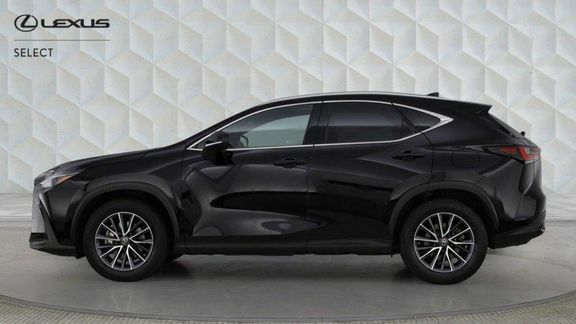 Lexus NX Nx Premium Pack Black #6
