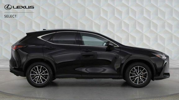 Lexus NX Nx Premium Pack Black #2