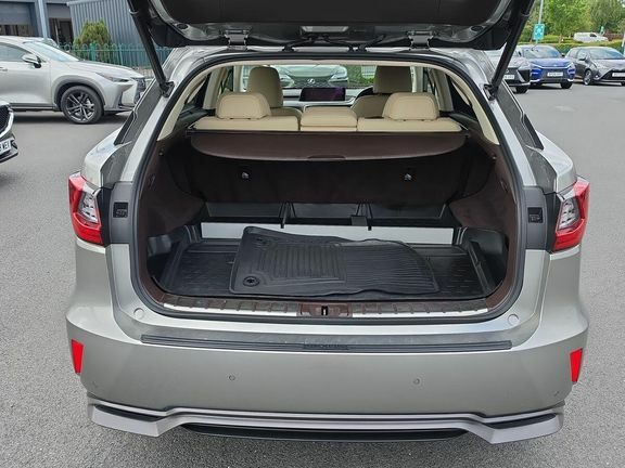 Lexus RX 450H 3.5 F-sport Self Charging Hybrid  #18