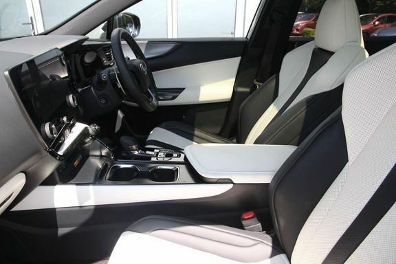 Lexus NX Nx450h F Sport Takumi Black #6