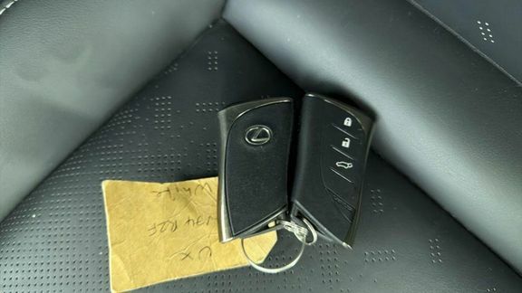 Lexus UX Ux 300E Premium Grey #16