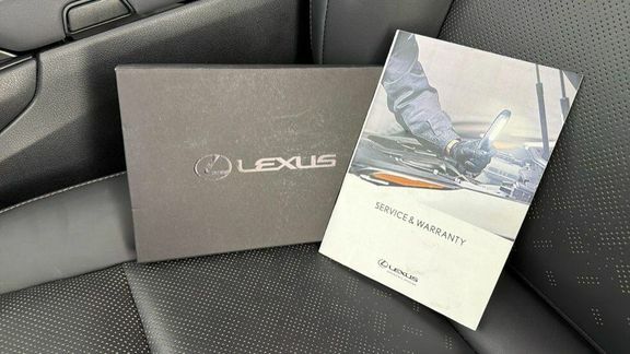 Lexus UX Ux 300E Premium Grey #28