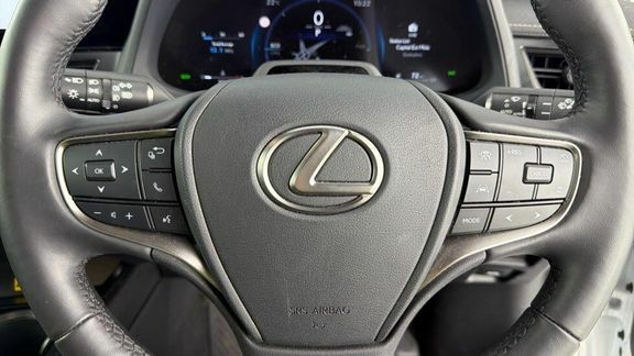 Lexus UX Ux 300E Premium Grey #22