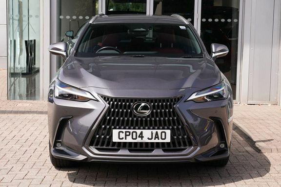 Lexus NX Premium Pack Lexus Link Pro Grey #4