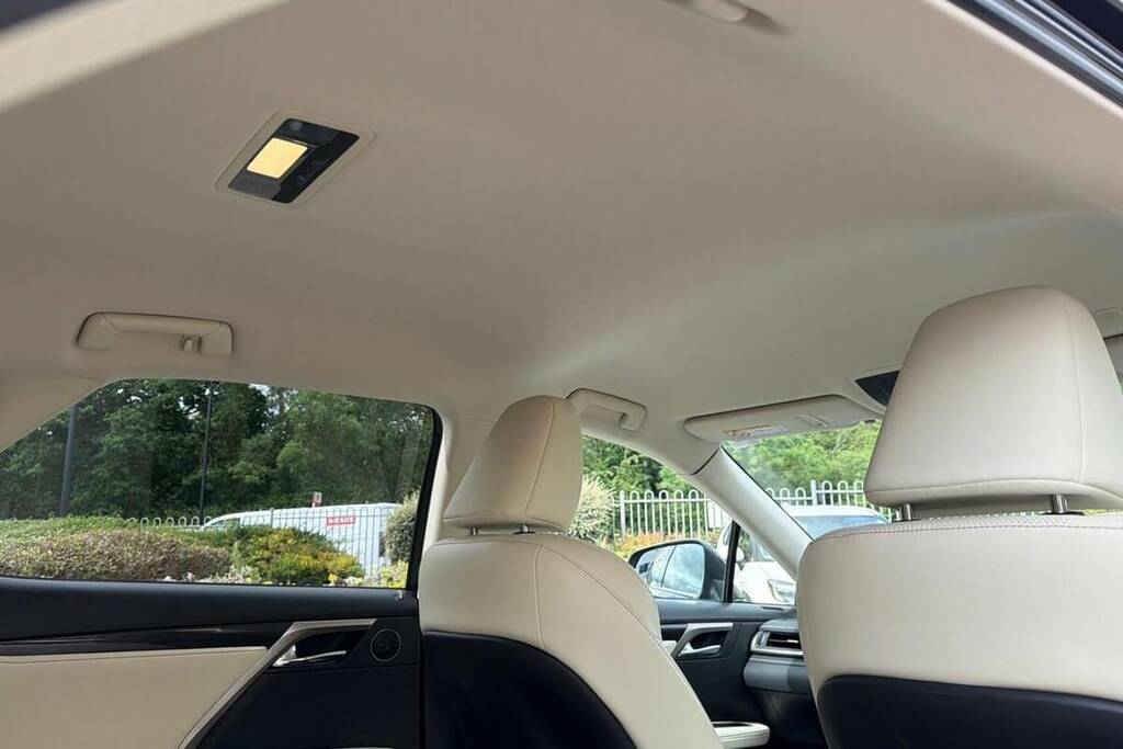 Lexus RX Rx 450H F Sport Cvt Silver #19