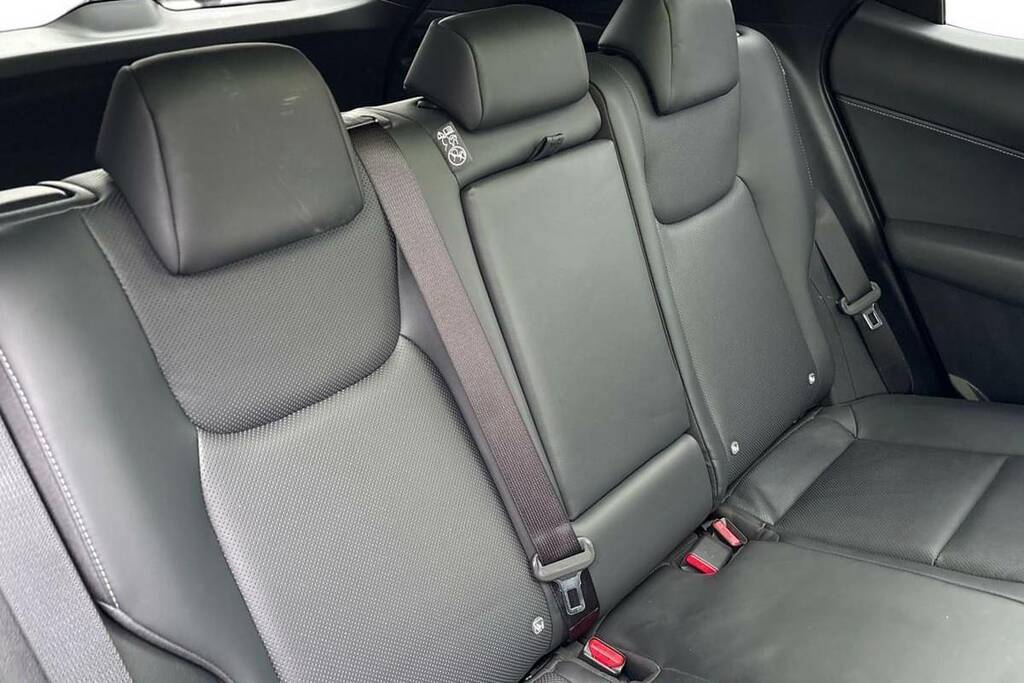 Lexus NX Premium Black #9