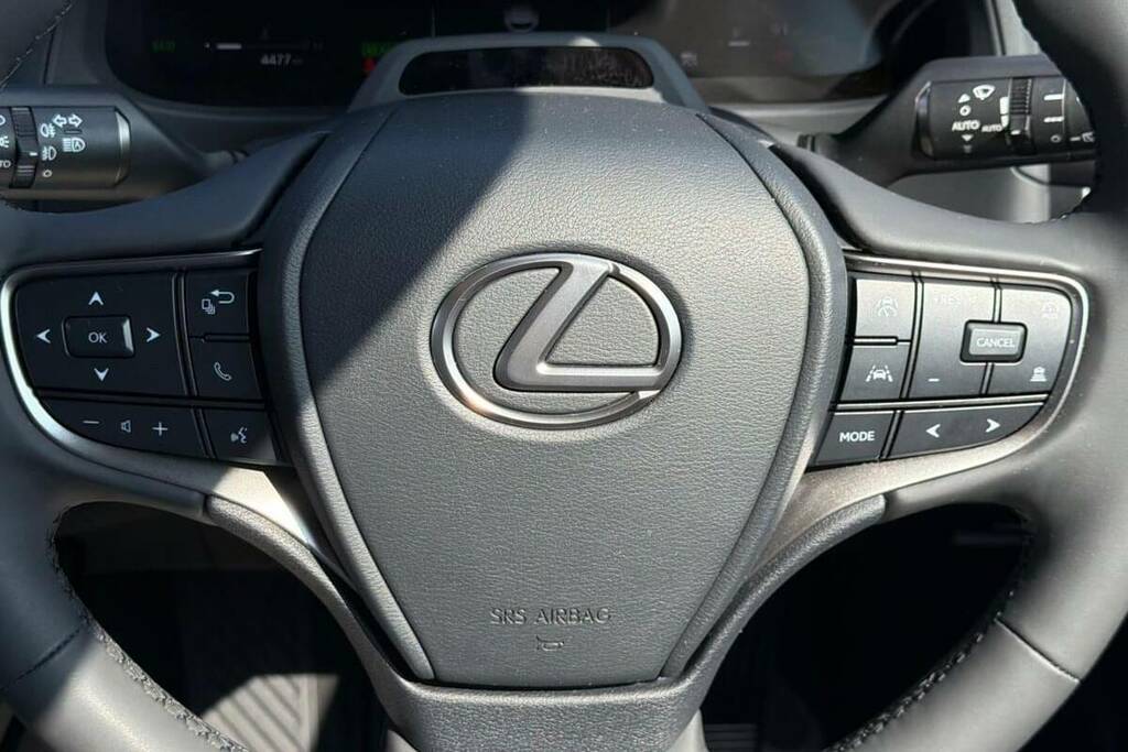 Lexus UX 300E 72.8Kwh Premium Plus Grey #10