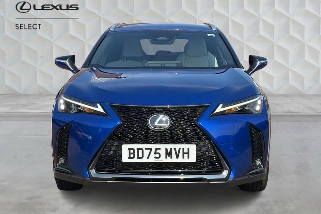 Lexus UX 300E 72.8Kwh Premium Plus Grey #22