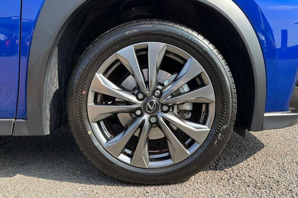 Lexus UX 300E 72.8Kwh Premium Plus Grey #25